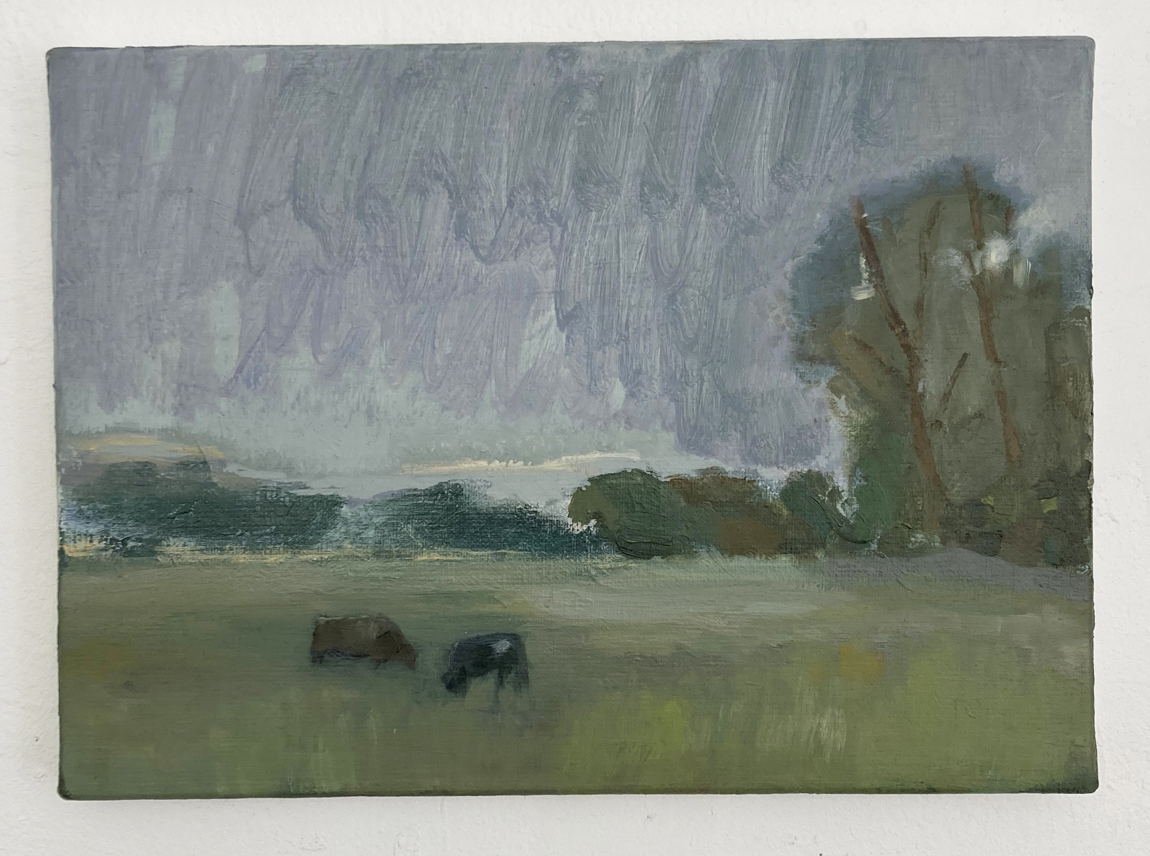 Paysage Brumeux